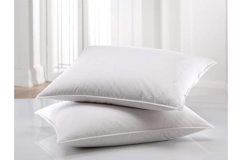 East Coast bedding 100 percent white Down Pillow
