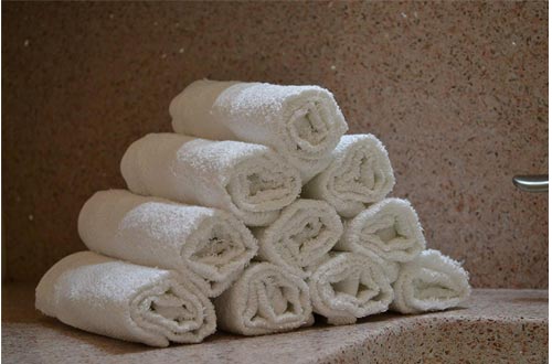 Egyptian Towels 100 Percent Cotton SALON Towel