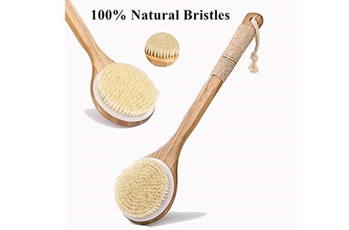 Dry Bath Body Brush Back Scrubber with Anti-slip Long Wooden Handle