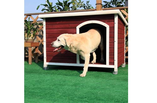 Petsfit Outdoor Dog Houses