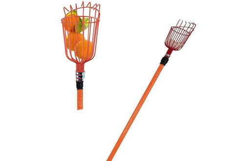 LavoHome Professional Metal Fruit Picker with Long Telescoping 8ft Pole & Fruit Catcher - Reach Fruit up to 15ft Without a Ladder