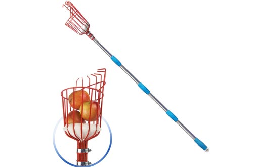 GLORYA Fruit Picker - 5.5ft Length Adjustable Lightweight Fruit Catcher Tool - Stainless Steel Apple Orange Pear Mango and Other Fruit Tree Picker Pole with Basket
