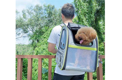 Pecute Pet Carrier Backpack, Dog Carrier Backpack, Expandable with Breathable Mesh for Small Dogs Cats Puppies