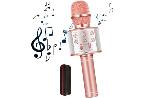 GOCTOS Karaoke Bluetooth Wireless Microphone 3 in 1 Portable Handheld Mic Speaker Machine for Company Meeting Family Kids Party