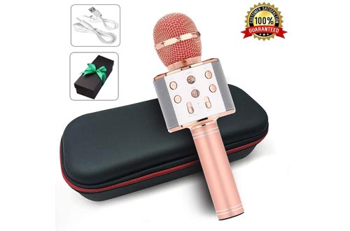 Karaoke Bluetooth Wireless Microphone 3 in 1 Portable Handheld Mic Speaker Machine for Company Meeting Family Kids Party