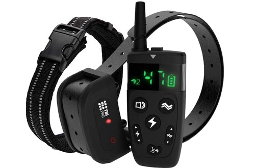 TBI Pro Dog Training Collar with Remote