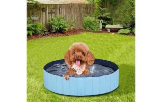 MorTime Foldable Dog Pool Portable Pet Bath Tub Large Indoor & Outdoor