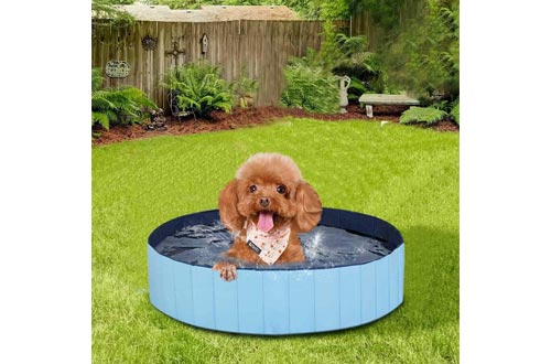 MorTime Foldable Dog Pool Portable Pet Bath Tub Large Indoor & Outdoor