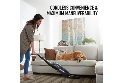 Hoover BH50010 Linx Cordless Stick Vacuum Cleaner